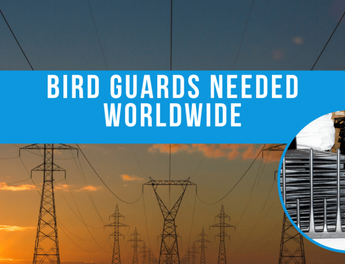 Bird guards needed all over the world